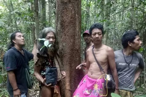 Bokep suku pedalaman di hutan rimba